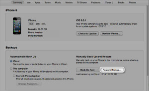 Restore backup in iTunes, iPhone backup restore, iPad restoring backups
